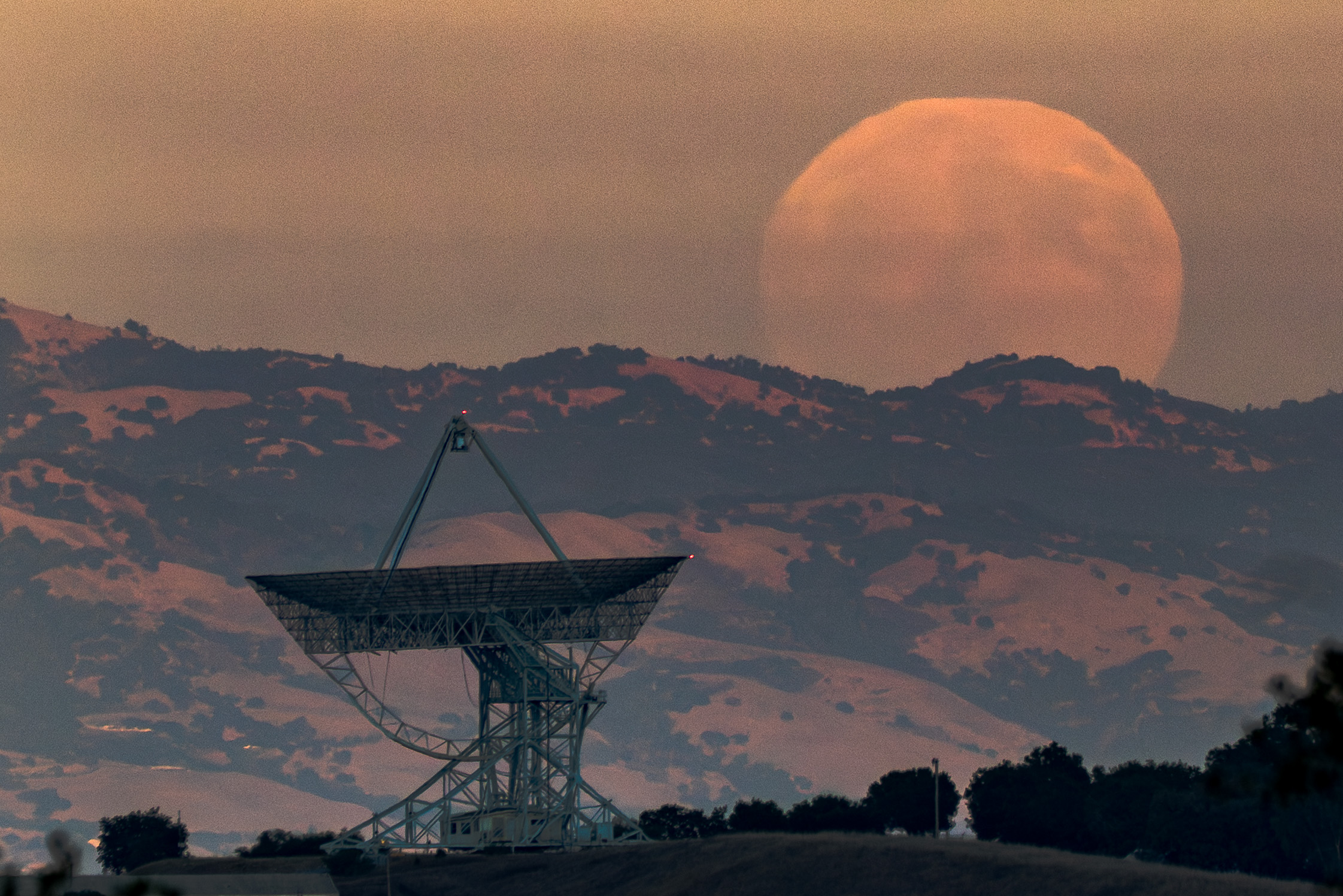 Moonrise Stanford Dish